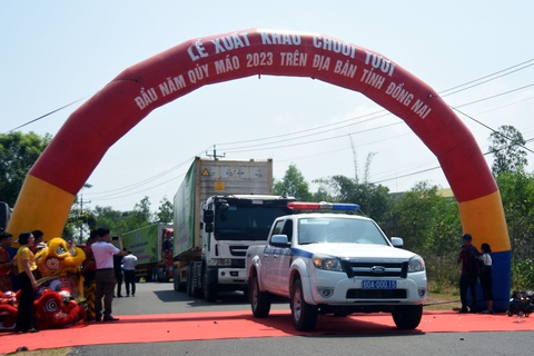 Xuất khẩu hơn 300 tấn chuối tươi sang Trung Quốc - Ảnh 2. Xuất khẩu hơn 300 tấn chuối tươi sang Trung Quốc - Ảnh 2.