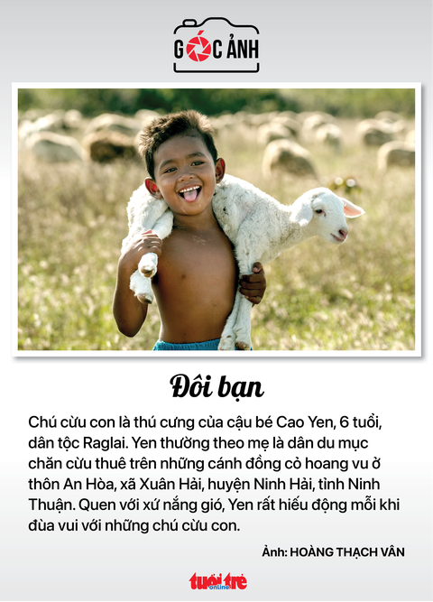 Tin tức sáng 23-2: Hơn 58.000 doanh nghiệp ở TP.HCM nợ bảo hiểm xã hội - Ảnh 8. Tin tức sáng 23-2: Hơn 58.000 doanh nghiệp ở TP.HCM nợ bảo hiểm xã hội - Ảnh 8.