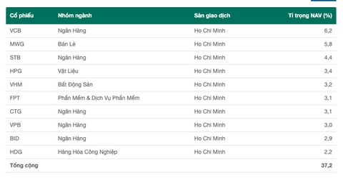 Doanh thu nghìn tỉ của quỹ ngoại đến từ đâu? - Ảnh 3. 10 khoản đầu tư lớn của Quỹ đầu tư chứng khoán Năng động DC (DCDS) tính đến 31-1-2023 - Ảnh: TƯỜNG VI