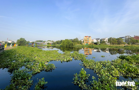 TP.HCM hoàn thành dự án Tham Lương - Bến Cát - Rạch Nước Lên năm 2025 - Ảnh 3. Dòng kênh Tham Lương - Bến Cát - rạch Nước Lên vẫn đang bị ô nhiễm, lục bình bao phủ - Ảnh: LÊ PHAN