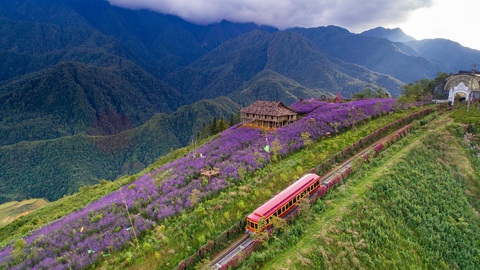 Du lịch Sa Pa và hơn một thế kỷ “vén mây mù để thấy trời xanh” - Ảnh 4. Du lịch Sa Pa và hơn một thế kỷ “vén mây mù để thấy trời xanh” - Ảnh 4.
