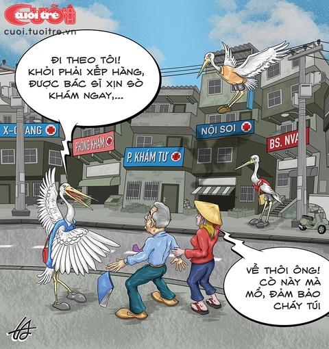 Nơi có nhiều cò bệnh viện nhất - Ảnh 1. Nơi có nhiều cò bệnh viện nhất - Ảnh 1.