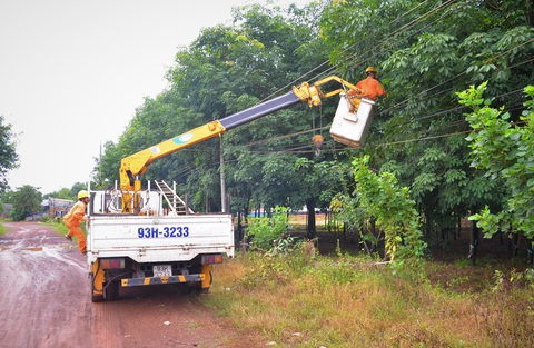 Chủ động phòng ngừa tai nạn điện - Ảnh 2. Công nhân điện thường xuyên kiểm tra, phát quang cây xanh khu vực dân cư để phòng ngừa sự cố về điện do vi phạm hành lang an toàn lưới điện cao áp tại Bình Phước - Ảnh: Cty cung cấp