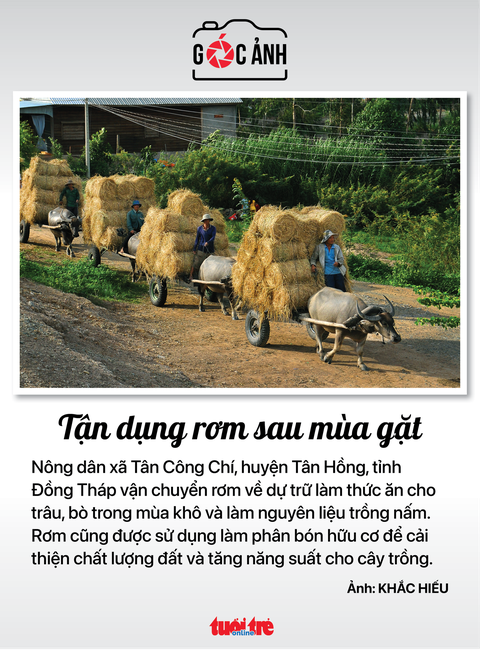 Tin tức sáng 25-2: TP.HCM cần ứng dụng giúp tránh kẹt xe, ngập nước; Lập danh sách điểm xe dù - Ảnh 5. Tin tức sáng 25-2: TP.HCM cần ứng dụng giúp tránh kẹt xe, ngập nước; Lập danh sách điểm xe dù - Ảnh 5.
