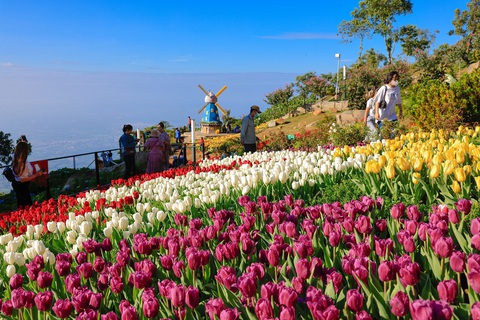 Cuộc chuyển mình từ 'Nóc nhà Nam Bộ' của du lịch Tây Ninh - Ảnh 3. Sun World Ba Den Mountain rực rỡ sắc hoa. Ảnh: Ngô Trần Hải An