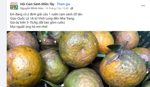 Người Sài Gòn giải cứu cam miền Tây - Ảnh 4. Người Sài Gòn giải cứu cam miền Tây - Ảnh 4.