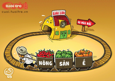 Vòng xoay giải cứu nông sản - Ảnh 1. Vòng xoay giải cứu nông sản - Ảnh 1.