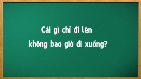 Câu hỏi nào không ai có thể trả lời là Vâng? - Ảnh 7. Câu hỏi nào không ai có thể trả lời là Vâng? - Ảnh 7.