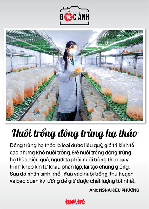 Tin tức sáng 26-2: Tái diễn lừa đảo rút BHXH một lần; Giá cá tra nguyên liệu tăng - Ảnh 9. Tin tức sáng 26-2: Tái diễn lừa đảo rút BHXH một lần; Giá cá tra nguyên liệu tăng - Ảnh 9.