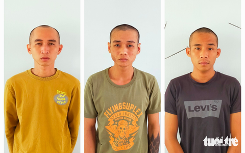Bắt ba thanh niên trộm mô tơ bơm nước ở Tiền Giang - Ảnh 1. Bắt ba thanh niên trộm mô tơ bơm nước ở Tiền Giang - Ảnh 1.