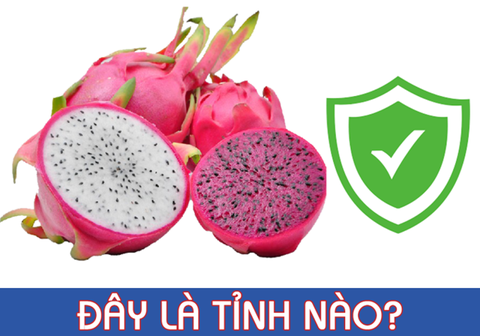 Đố vui: Đây là tỉnh nào ở Việt Nam? - Ảnh 7. Đố vui: Đây là tỉnh nào ở Việt Nam? - Ảnh 7.