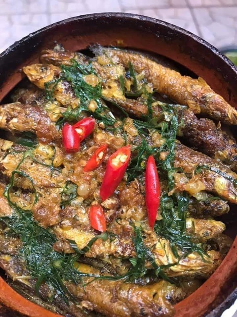 Cá còm kho nghệ và nỗi nhớ xứ Nghệ của tôi - Ảnh 4. Cá còm kho nghệ và nỗi nhớ xứ Nghệ của tôi - Ảnh 4.