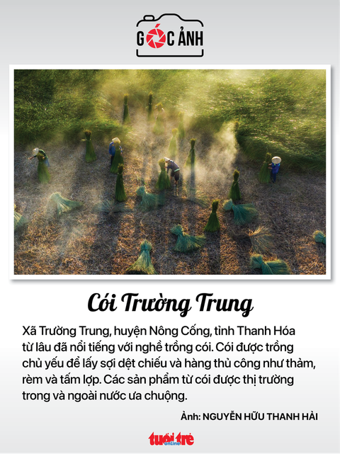 Tin tức sáng 28-2: Phát hiện 72 vụ tham nhũng trong 1 tháng; Lại dùng chất cấm nuôi trâu bò - Ảnh 4. Tin tức sáng 28-2: Phát hiện 72 vụ tham nhũng trong 1 tháng; Lại dùng chất cấm nuôi trâu bò - Ảnh 4.