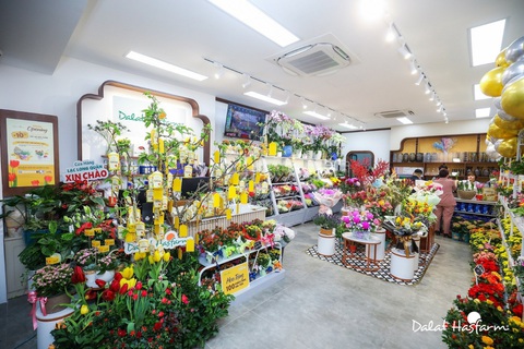 Dalat Hasfarm khai trương cửa hàng với diện mạo mới - Ảnh 3. Dalat Hasfarm khai trương cửa hàng với diện mạo mới - Ảnh 3.