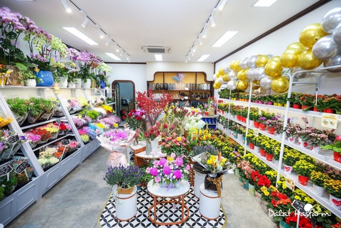 Dalat Hasfarm khai trương cửa hàng với diện mạo mới - Ảnh 4. Dalat Hasfarm khai trương cửa hàng với diện mạo mới - Ảnh 4.