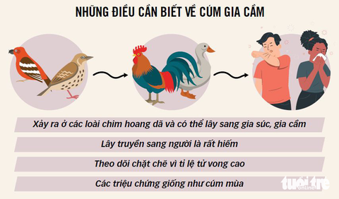 Khi nào xét nghiệm xác định cúm gia cầm H5N1? - Ảnh 1. Khi nào xét nghiệm xác định cúm gia cầm H5N1? - Ảnh 1.
