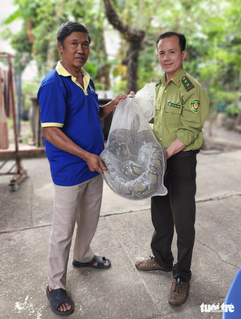 Người dân giao cặp trăn đất quý hiếm cho kiểm lâm - Ảnh 2. Người dân giao cặp trăn đất quý hiếm cho kiểm lâm - Ảnh 2.