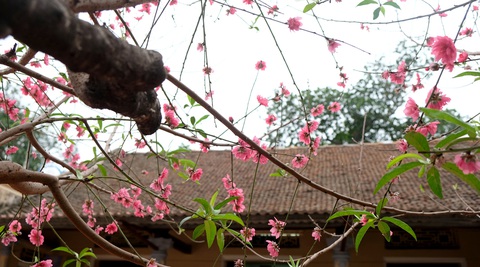 Nước mắt ngày trở về - Ảnh 1. Ảnh minh họa: GIA TIẾN