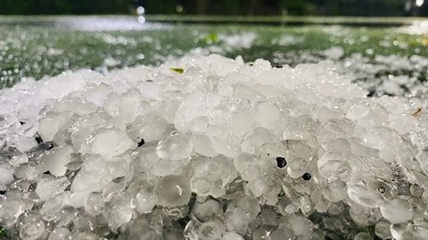 Điện Biên hứng trận mưa đá kéo dài 20 phút - Ảnh 4. Điện Biên hứng trận mưa đá kéo dài 20 phút - Ảnh 4.