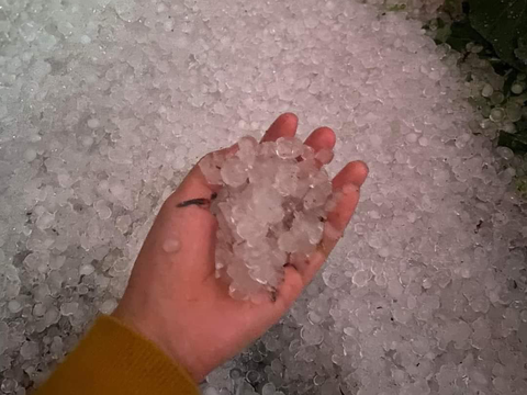 Điện Biên hứng trận mưa đá kéo dài 20 phút - Ảnh 3. Điện Biên hứng trận mưa đá kéo dài 20 phút - Ảnh 3.