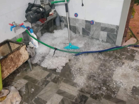 Điện Biên hứng trận mưa đá kéo dài 20 phút - Ảnh 6. Điện Biên hứng trận mưa đá kéo dài 20 phút - Ảnh 6.