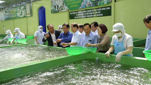 Làm nông nghiệp gắn với du lịch là hướng đi của tương lai - Ảnh 1. Làm nông nghiệp gắn với du lịch là hướng đi của tương lai - Ảnh 1.