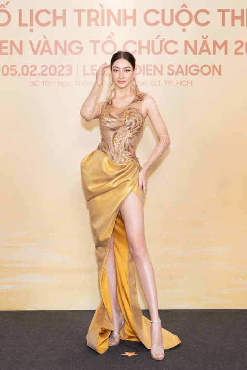 Thêm cuộc thi hoa hậu mới: Hoa hậu Quốc gia Việt Nam - Ảnh 4. Thêm cuộc thi hoa hậu mới: Hoa hậu Quốc gia Việt Nam - Ảnh 4.