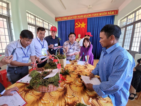 Thủ phủ sâm Ngọc Linh tổ chức hội thi, củ sâm giải nhất chốt đấu giá 250 triệu đồng - Ảnh 1. Thủ phủ sâm Ngọc Linh tổ chức hội thi, củ sâm giải nhất chốt đấu giá 250 triệu đồng - Ảnh 1.