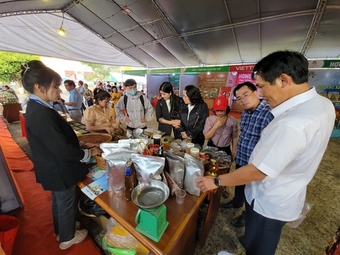 Thủ phủ sâm Ngọc Linh tổ chức hội thi sâm, đấu giá sâm làm từ thiện - Ảnh 5. Thủ phủ sâm Ngọc Linh tổ chức hội thi sâm, đấu giá sâm làm từ thiện - Ảnh 5.