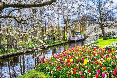 Vietravel ‘bùng nổ’ du khách đến châu Âu thưởng lãm nét đẹp mùa xuân 2023 - Ảnh 4. Vietravel ‘bùng nổ’ du khách đến châu Âu thưởng lãm nét đẹp mùa xuân 2023 - Ảnh 4.