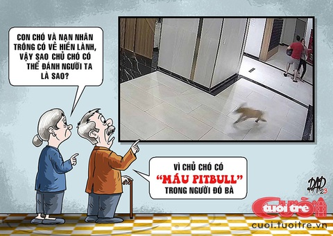Chó nhà tôi hiền lắm, tôi mới dữ! - Ảnh 1. Chó nhà tôi hiền lắm, tôi mới dữ! - Ảnh 1.