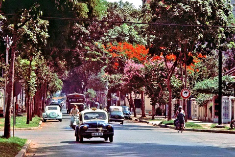 Kỳ 6: Nguyễn Đình Chiểu - con đường hai sắc màu thành phố - Ảnh 2. Kỳ 6: Nguyễn Đình Chiểu - con đường hai sắc màu thành phố - Ảnh 2.