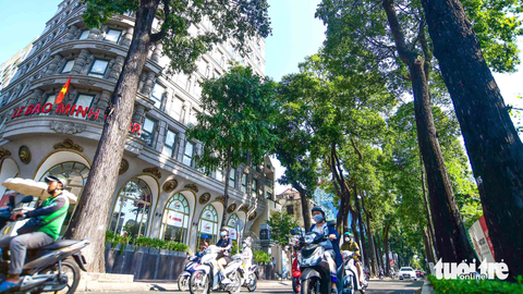 Kỳ 6: Nguyễn Đình Chiểu - con đường hai sắc màu thành phố - Ảnh 1. Kỳ 6: Nguyễn Đình Chiểu - con đường hai sắc màu thành phố - Ảnh 1.