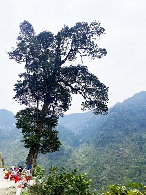 Vòng quanh Hà Giang 4 ngày 3 đêm: Nơi mỗi phiến đá hát một bài ca - Ảnh 3. Vòng quanh Hà Giang 4 ngày 3 đêm: Nơi mỗi phiến đá hát một bài ca - Ảnh 3.