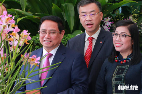 Singapore lấy tên Thủ tướng Phạm Minh Chính và phu nhân đặt cho loài hoa lan mới - Ảnh 1. Singapore lấy tên Thủ tướng Phạm Minh Chính và phu nhân đặt cho loài hoa lan mới - Ảnh 1.
