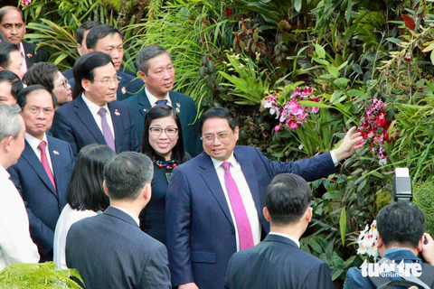 Singapore lấy tên Thủ tướng Phạm Minh Chính và phu nhân đặt cho loài hoa lan mới - Ảnh 2. Singapore lấy tên Thủ tướng Phạm Minh Chính và phu nhân đặt cho loài hoa lan mới - Ảnh 2.