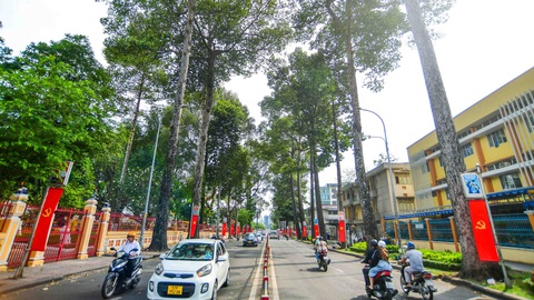 Đường phố Sài Gòn - Những ký ức thân thương - Kỳ 7: Đường xưa bên ngôi trường thương mến - Ảnh 2. Đường phố Sài Gòn - Những ký ức thân thương - Kỳ 7: Đường xưa bên ngôi trường thương mến - Ảnh 2.