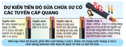 Internet rùa bò vẫn thu đủ tiền! - Ảnh 3. Internet rùa bò vẫn thu đủ tiền! - Ảnh 3.