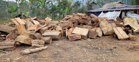Gỗ rừng tự nhiên bị chặt hạ la liệt, lãnh đạo huyện nói gì? - Ảnh 3. Gỗ rừng tự nhiên bị chặt hạ la liệt, lãnh đạo huyện nói gì? - Ảnh 3.
