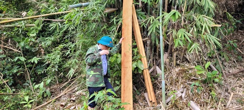 Gỗ rừng tự nhiên bị chặt hạ la liệt, lãnh đạo huyện nói gì? - Ảnh 2. Gỗ rừng tự nhiên bị chặt hạ la liệt, lãnh đạo huyện nói gì? - Ảnh 2.