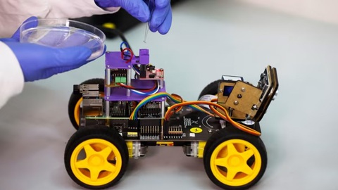 Israel phát triển robot có thể đánh hơi bằng râu của châu chấu - Ảnh 1. Israel phát triển robot có thể đánh hơi bằng râu của châu chấu - Ảnh 1.