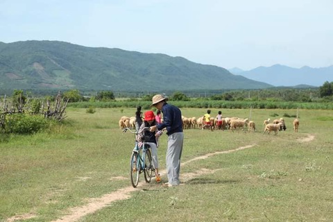 Phát triển du lịch từ phim truyền hình, tại sao không? - Ảnh 4. Cảnh miền quê yên bình tỉnh Ninh Thuận trong phim Mẹ rơm - Ảnh: ĐPCC
