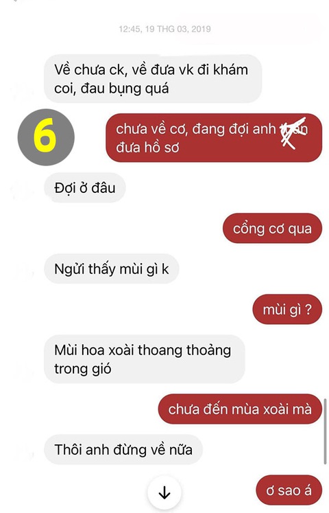 Lỡ dại kể chuyện tình cũ bên cây xoài, chồng bị vợ cà khịa suốt đời - Ảnh 6. Lỡ dại kể chuyện tình cũ bên cây xoài, chồng bị vợ cà khịa suốt đời - Ảnh 6.