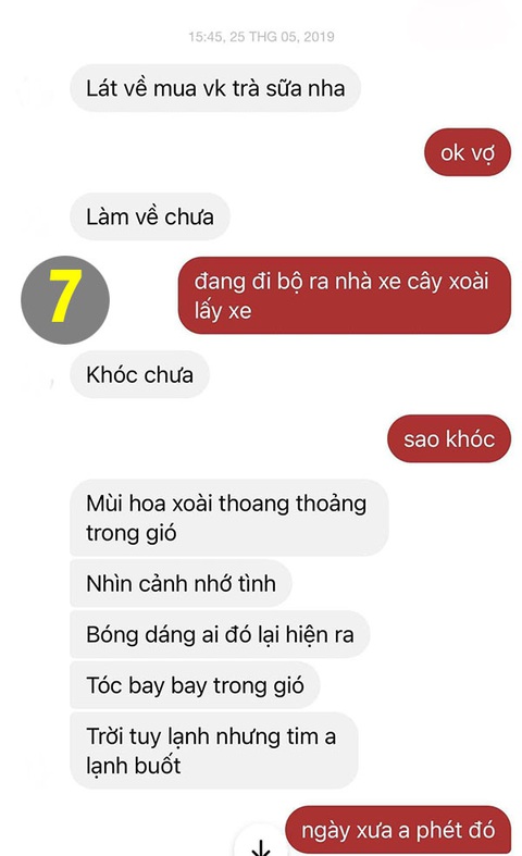 Lỡ dại kể chuyện tình cũ bên cây xoài, chồng bị vợ cà khịa suốt đời - Ảnh 7. Lỡ dại kể chuyện tình cũ bên cây xoài, chồng bị vợ cà khịa suốt đời - Ảnh 7.