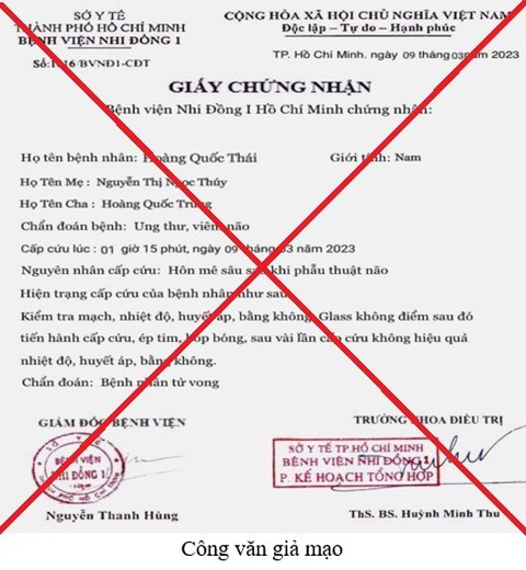 Giả chữ ký giám đốc và con dấu bệnh viện kêu gọi từ thiện, ký hợp đồng lao động - Ảnh 1. Giả chữ ký giám đốc và con dấu bệnh viện kêu gọi từ thiện, ký hợp đồng lao động - Ảnh 1.