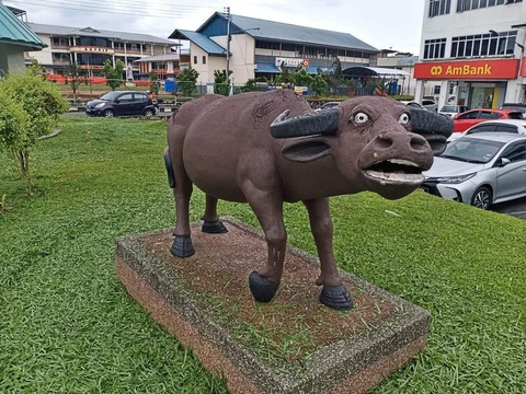 Soi 360 độ ngoại hình chú trâu hoảng hốt gây sốt ở Malaysia - Ảnh 2. Soi 360 độ ngoại hình chú trâu hoảng hốt gây sốt ở Malaysia - Ảnh 2.