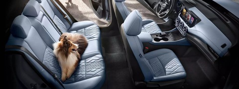 Xe được nhiều người Việt mong chờ Nissan Sentra nhá hàng qua bản mới tại Trung Quốc - Ảnh 11. Xe được nhiều người Việt mong chờ Nissan Sentra nhá hàng qua bản mới tại Trung Quốc - Ảnh 11.
