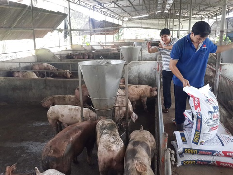 Nhu cầu về vắc xin phòng bịch bệnh cho gia súc, gia cầm ở mức cao. Ảnh: N.TRÍ Nhu cầu về vắc xin phòng bịch bệnh cho gia súc, gia cầm ở mức cao - Ảnh: N.TRÍ