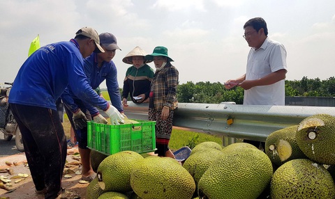Giá mít cao gấp 5-6 lần năm ngoái, nông dân lại đổ xô đi trồng - Ảnh 1. Nông dân xã Thạnh Mỹ Tây, huyện Châu Phú, An Giang bán mít với giá xô là 39.000 đồng/kg - Ảnh: BỬU ĐẤU