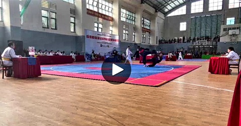 Pencak silat Hà Nội kiện ban tổ chức vì bị xử thua trái luật? - Ảnh 3. Pencak silat Hà Nội kiện ban tổ chức vì bị xử thua trái luật? - Ảnh 3.